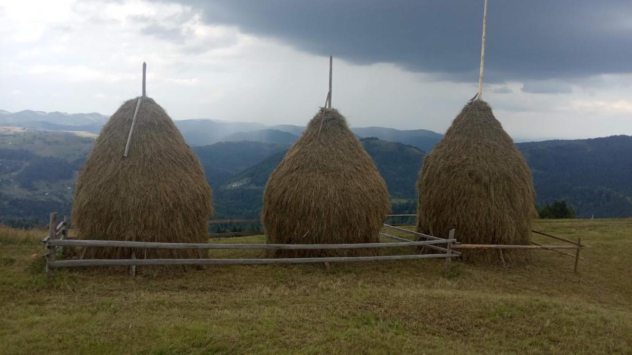 Bat'Kivska Hata Stari Kuty ภายนอก รูปภาพ