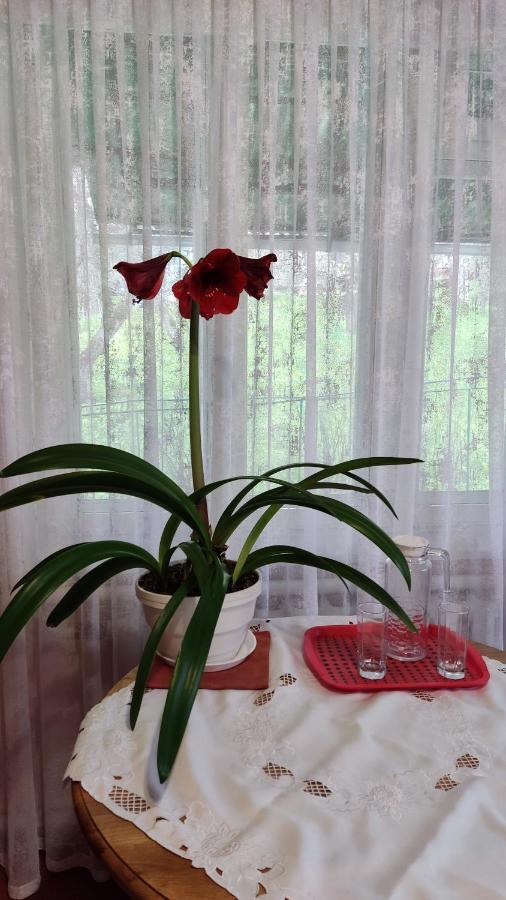 Bat'Kivska Hata Stari Kuty ภายนอก รูปภาพ
